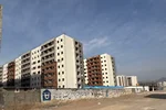 مسکن ملی پرندفازهفت