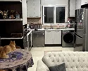 پرندفاز۳پروژه ناصرین