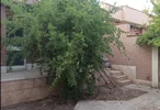 املاک پرند فاز ۲ مروارید جنوبی