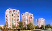 پرندفازدوخیابان آزالیا